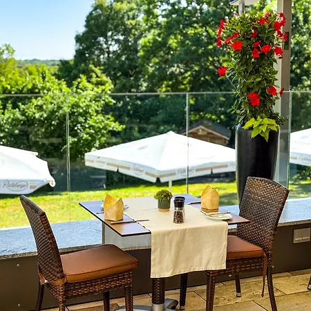 Birkenhof Hotel Hanau