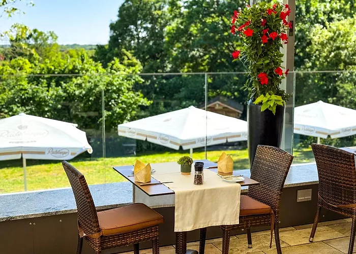 Birkenhof Hotel Hanau